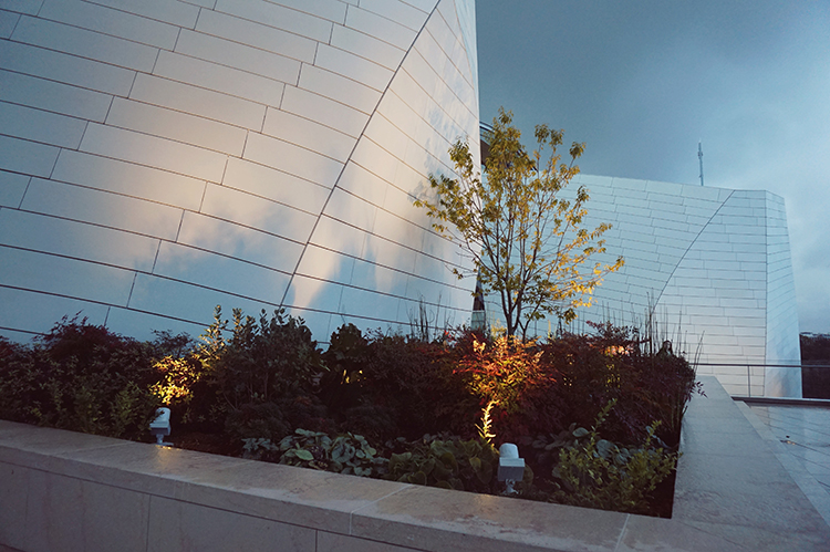 Fondation Louis Vuitton Paris Museum Frank Gehry