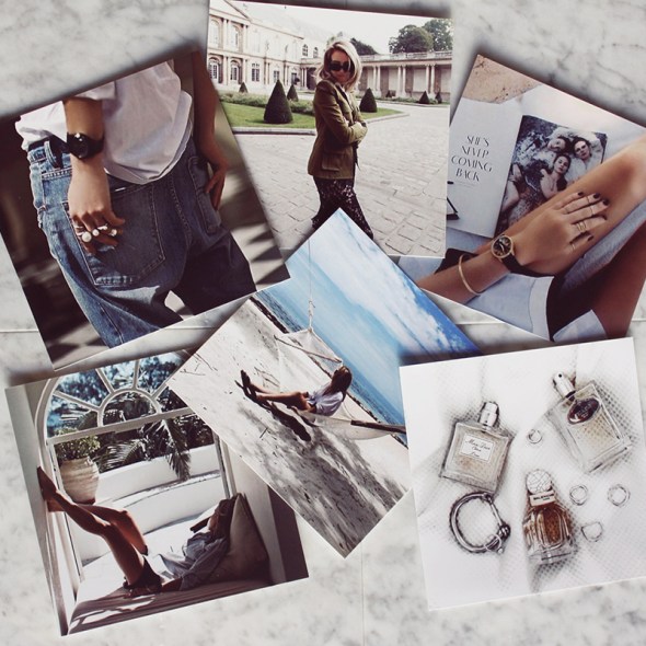 Oracle Fox blogger highlight