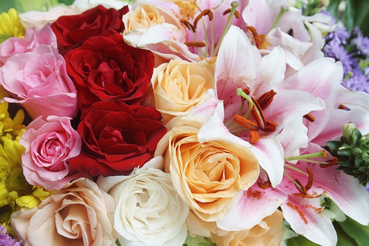 Chandra Villas Bali Fashion blogger Seminyak