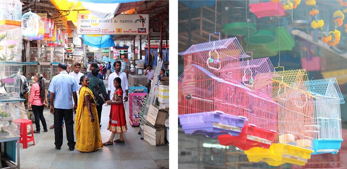 Blogger AATW India Jetairways