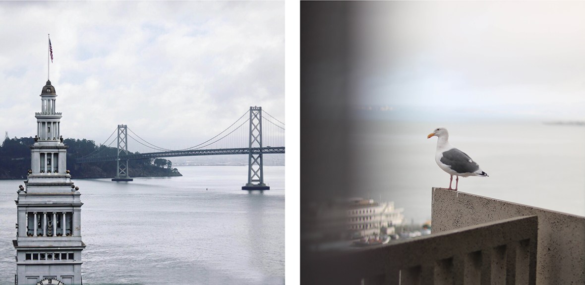 Blogger Review Park Hyatt San Francisco